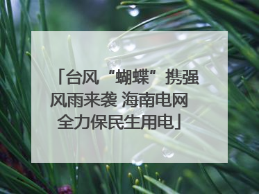 台风“蝴蝶”携强风雨来袭 海南电网全力保民生用电