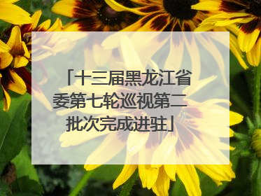 十三届黑龙江省委第七轮巡视第二批次完成进驻