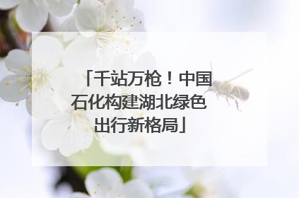 千站万枪！中国石化构建湖北绿色出行新格局