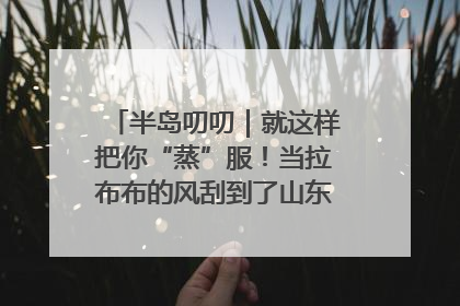 半岛叨叨｜就这样把你“蒸”服！当拉布布的风刮到了山东馒头界……
