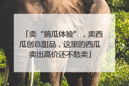 卖“摘瓜体验”，卖西瓜创意甜品，这里的西瓜卖出高价还不愁卖
