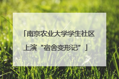南京农业大学学生社区上演“宿舍变形记”