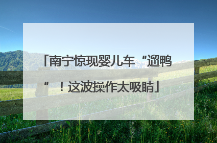南宁惊现婴儿车“遛鸭”！这波操作太吸睛