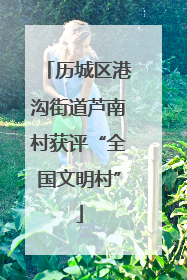 历城区港沟街道芦南村获评“全国文明村”