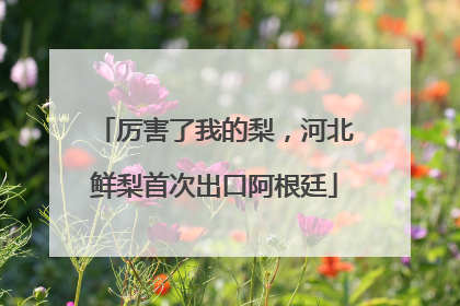 厉害了我的梨，河北鲜梨首次出口阿根廷
