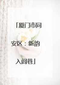 厦门市同安区：新韵入闾巷
