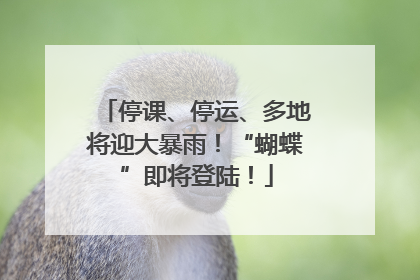 停课、停运、多地将迎大暴雨！“蝴蝶”即将登陆！