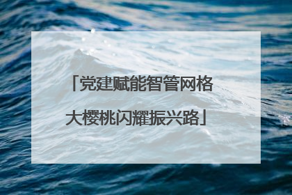 党建赋能智管网格 大樱桃闪耀振兴路