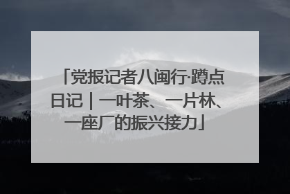 党报记者八闽行·蹲点日记｜一叶茶、一片林、一座厂的振兴接力