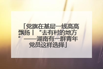 党旗在基层一线高高飘扬丨“去有村的地方”——湖南有一群青年党员这样选择