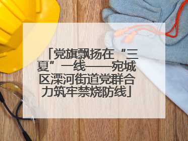 党旗飘扬在“三夏”一线——宛城区溧河街道党群合力筑牢禁烧防线