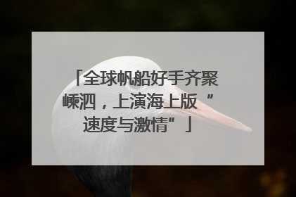 全球帆船好手齐聚嵊泗，上演海上版“速度与激情”