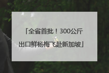 全省首批！300公斤出口鲜杨梅飞赴新加坡