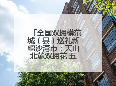 全国双拥模范城（县）巡礼新疆沙湾市：天山北麓双拥花 五届蝉联铸辉煌