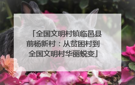 全国文明村镇临邑县前杨新村：从贫困村到全国文明村华丽蜕变