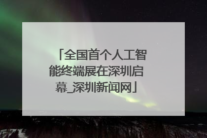 全国首个人工智能终端展在深圳启幕_深圳新闻网