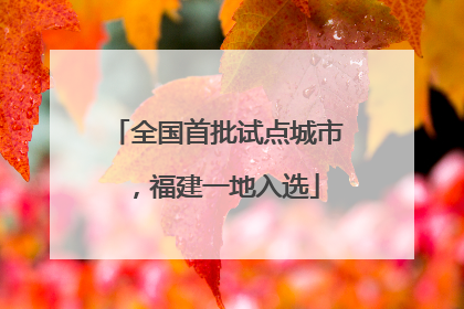 全国首批试点城市，福建一地入选