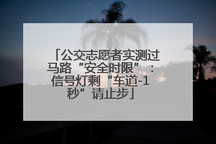 公交志愿者实测过马路“安全时限”：信号灯剩“车道-1秒”请止步