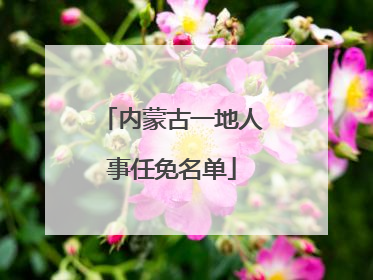 内蒙古一地人事任免名单