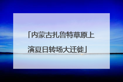 内蒙古扎鲁特草原上演夏日转场大迁徙
