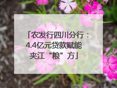 农发行四川分行：4.4亿元贷款赋能夹江“粮”方