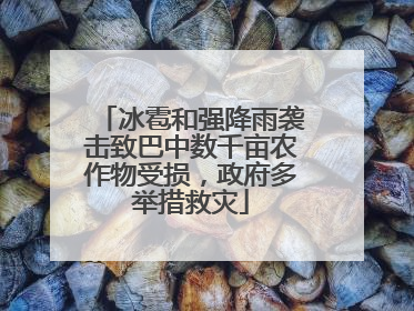 冰雹和强降雨袭击致巴中数千亩农作物受损，政府多举措救灾