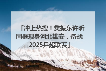 冲上热搜！樊振东许昕同框现身河北雄安，备战2025乒超联赛