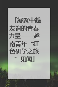 凝聚中越友谊的青春力量——越南青年“红色研学之旅”见闻