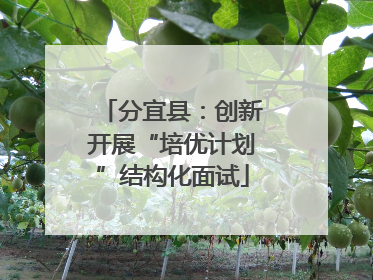 分宜县：创新开展“培优计划”结构化面试