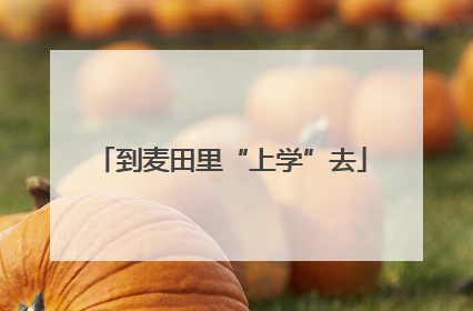 到麦田里“上学”去