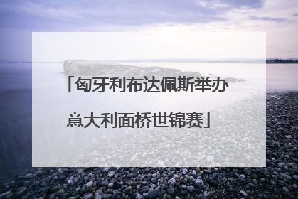匈牙利布达佩斯举办意大利面桥世锦赛