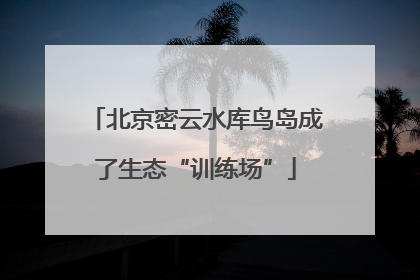 北京密云水库鸟岛成了生态“训练场”