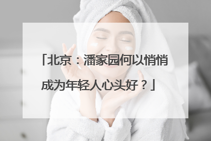 北京：潘家园何以悄悄成为年轻人心头好？