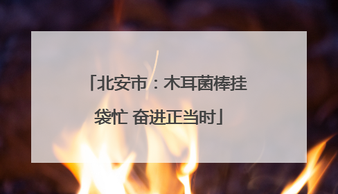 北安市：木耳菌棒挂袋忙 奋进正当时