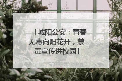 城阳公安：青春无毒向阳花开，禁毒宣传进校园