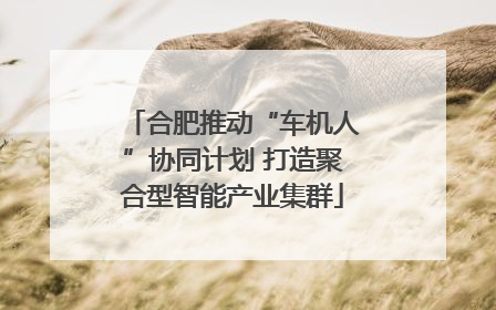合肥推动“车机人”协同计划 打造聚合型智能产业集群