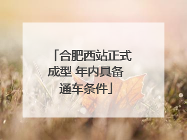 合肥西站正式成型 年内具备通车条件