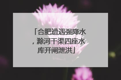 合肥遭遇强降水，滁河干渠四座水库开闸泄洪