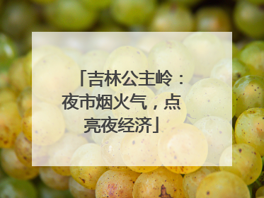 吉林公主岭：夜市烟火气，点亮夜经济