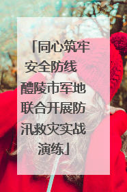 同心筑牢安全防线 醴陵市军地联合开展防汛救灾实战演练