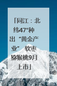 同江：北纬47°种出“黄金产业” 软枣猕猴桃9月上市