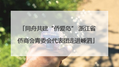 同舟共建“侨爱岛” 浙江省侨商会青委会代表团走进嵊泗