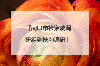 周口市检察院调研组到扶沟调研
