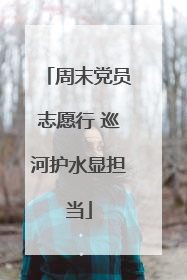 周末党员志愿行 巡河护水显担当