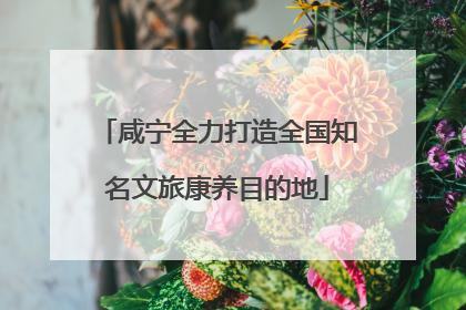 咸宁全力打造全国知名文旅康养目的地