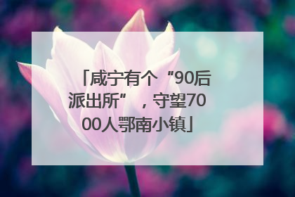 咸宁有个“90后派出所”，守望7000人鄂南小镇
