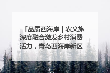 品质西海岸｜农文旅深度融合激发乡村消费活力，青岛西海岸新区的乡村振兴实践