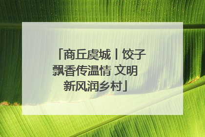 商丘虞城丨饺子飘香传温情 文明新风润乡村