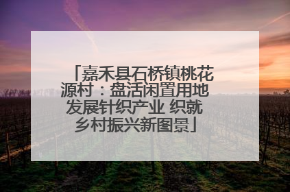 嘉禾县石桥镇桃花源村：盘活闲置用地发展针织产业 织就乡村振兴新图景