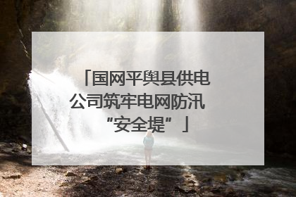 国网平舆县供电公司筑牢电网防汛“安全堤”